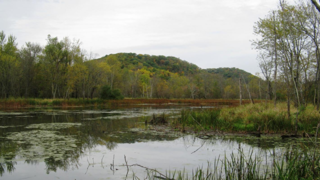 Kickapoo Bottoms