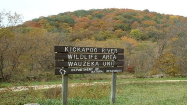 Kickapoo Wildlife