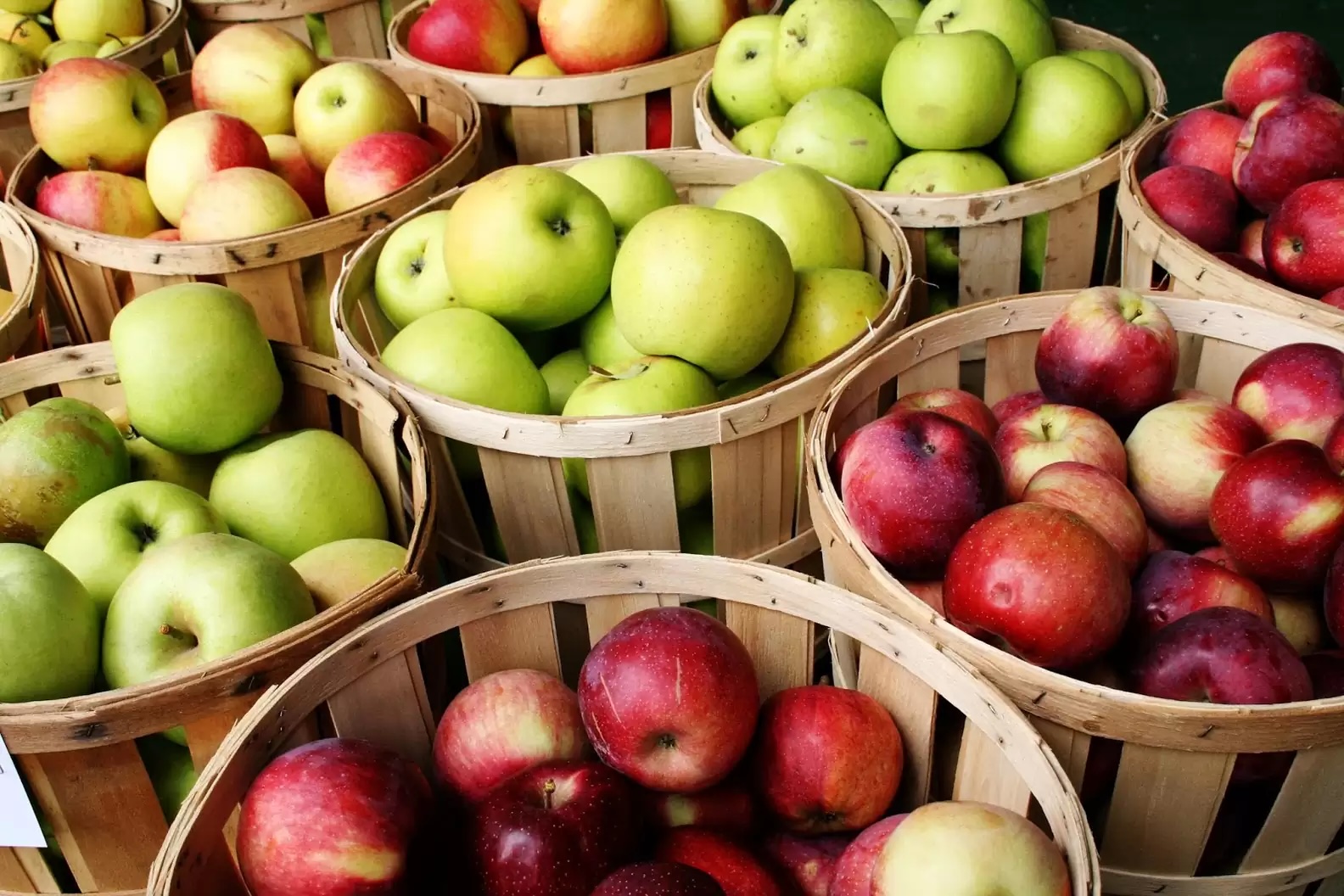 Bushels of Apples